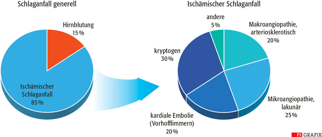 Wie Viele Schlaganfälle Kann Man überleben www.i-atros.com